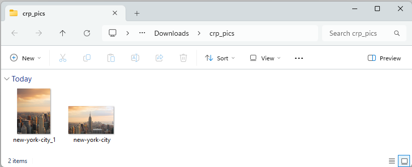 View all cropped results in output folder