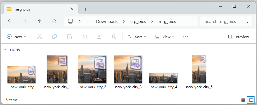 View watermarked images in the output folder