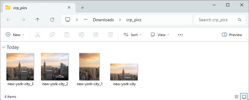 Final crop results in the output folder