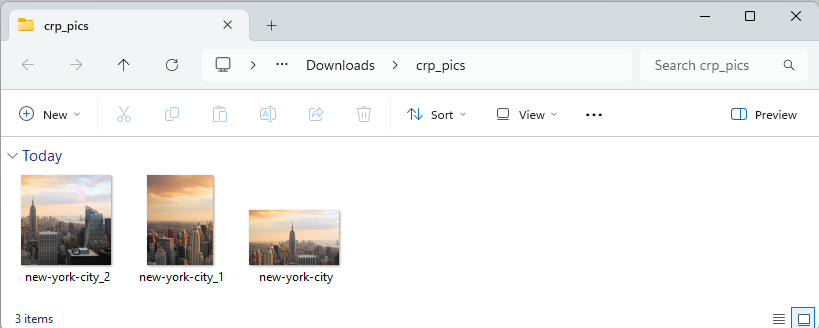 Results of pixel-adjusted crop in output folder