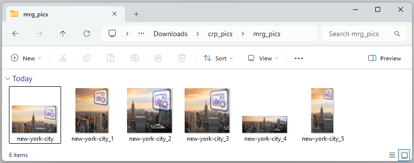 Selecting a single image to resize